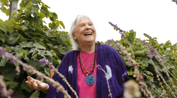 Zsuzsanna Budapest – Egy híres feminista története